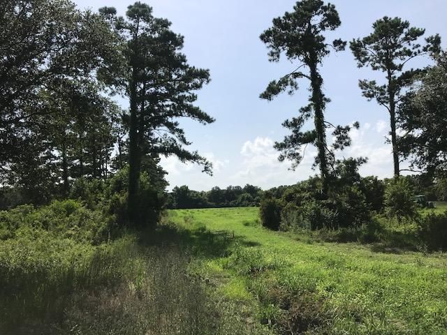 6 Addie Seabrook Ln, Edisto Island, SC 29438