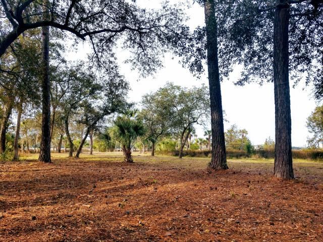 0 Dupree Creek Ln, Awendaw, SC 29429