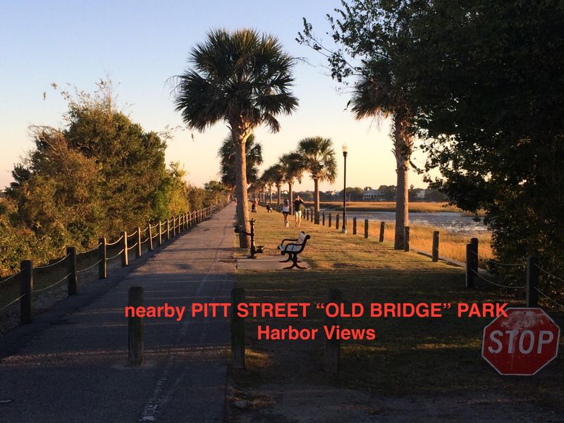 406 Morrison St, Mount Pleasant, SC 29464