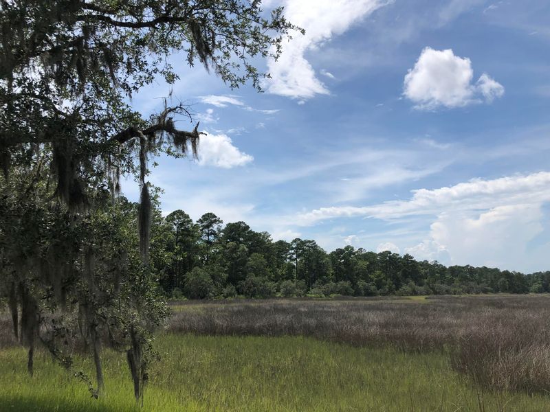Lot 26 Duck Club Rd Lot 26, Hollywood, SC 29470
