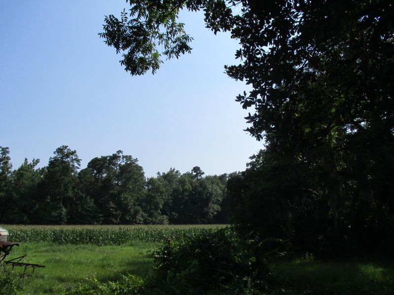 125 Germantown Rd, Summerville, SC 29483