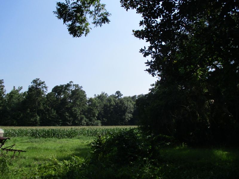 125 Germantown Rd, Summerville, SC 29483