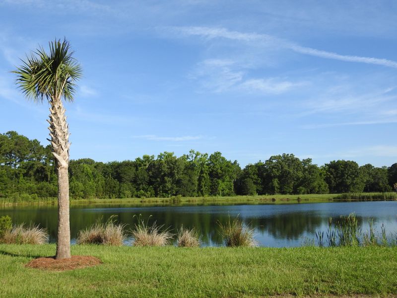 1196 Hitchfield Ln, Awendaw, SC 29429