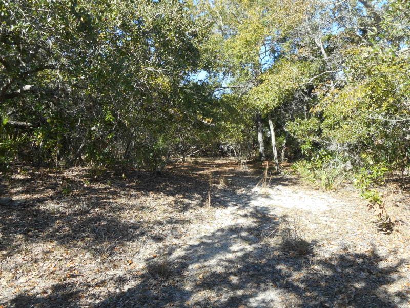 2503 Myrtle St, Edisto Island, SC 29438