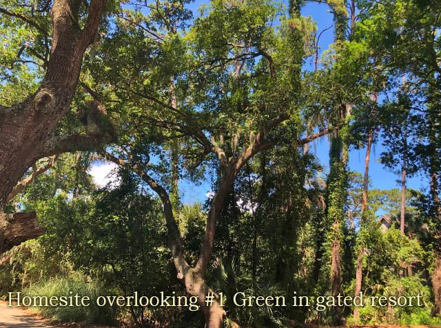 A-9 Oristo Rg, Edisto Island, SC 29438