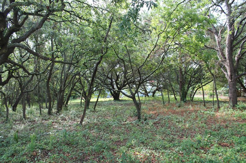 3115 Middle St, Sullivans Island, SC 29482