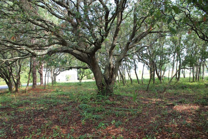 3115 Middle St, Sullivans Island, SC 29482