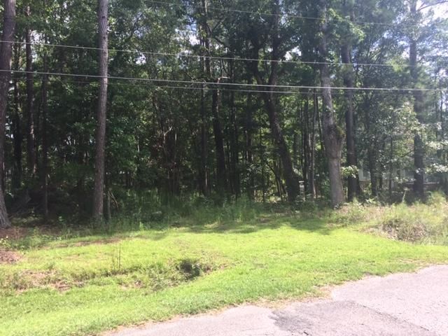306 Picadilly Loop, Summerville, SC 29483