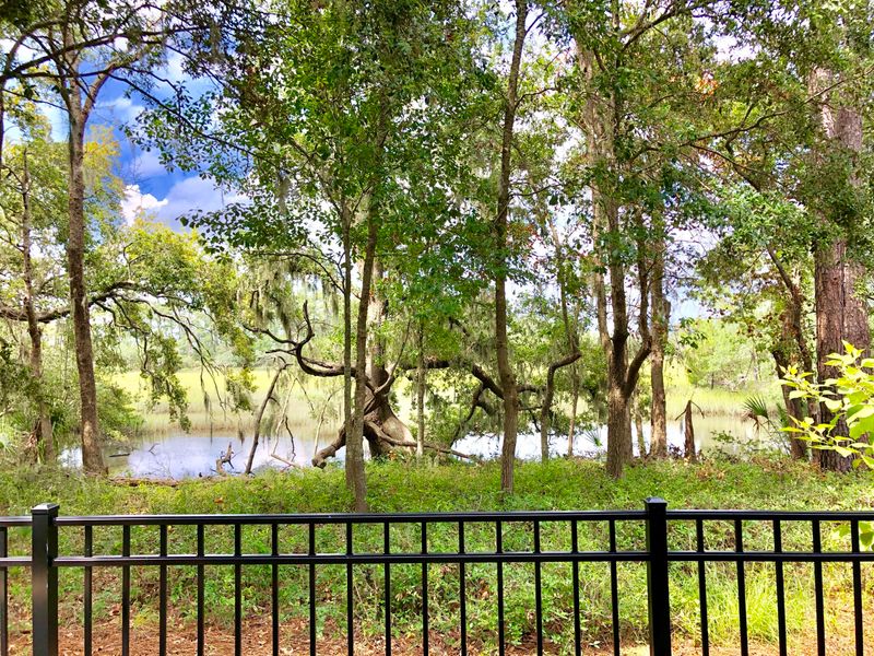 189 Slipper Shell Ct, Mount Pleasant, SC 29464
