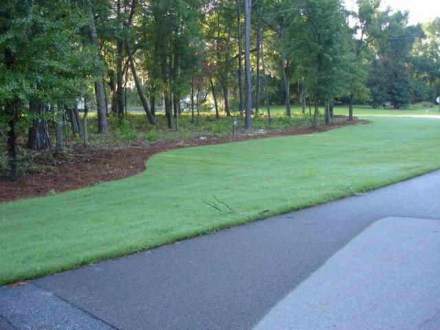 6247 Pepper Grass Trl, Ravenel, SC 29470