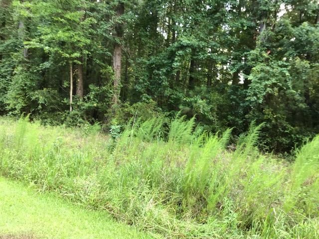 1 Rosa Green Rd, Awendaw, SC 29429