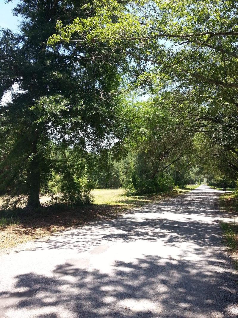 0 Sandridge Rd, Dorchester, SC 29437