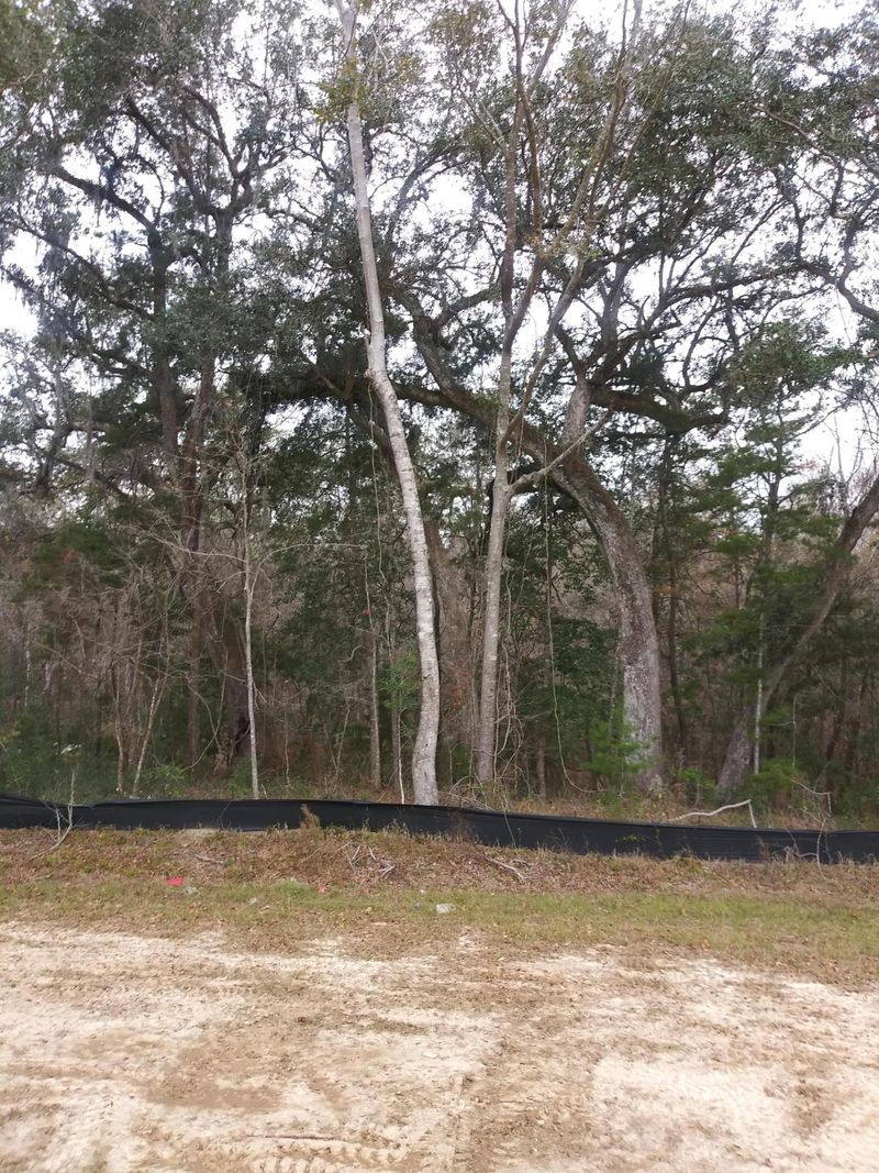 1336 Berry Grove Dr, Summerville, SC 29485