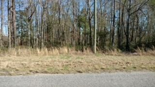 0 Calamus Pond Rd, Summerville, SC 29486