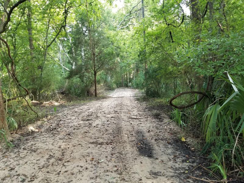 3972 Bulow Plantation Rd, Johns Island, SC 29455