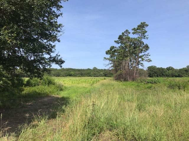 4 Addie Seabrook Ln, Edisto Island, SC 29438