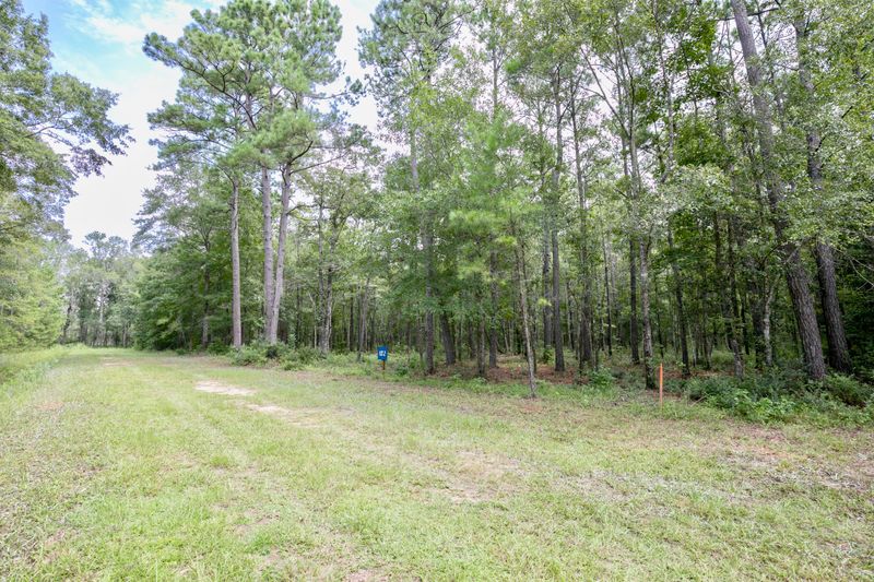 Lot 2 White Rd, Awendaw, SC 29429