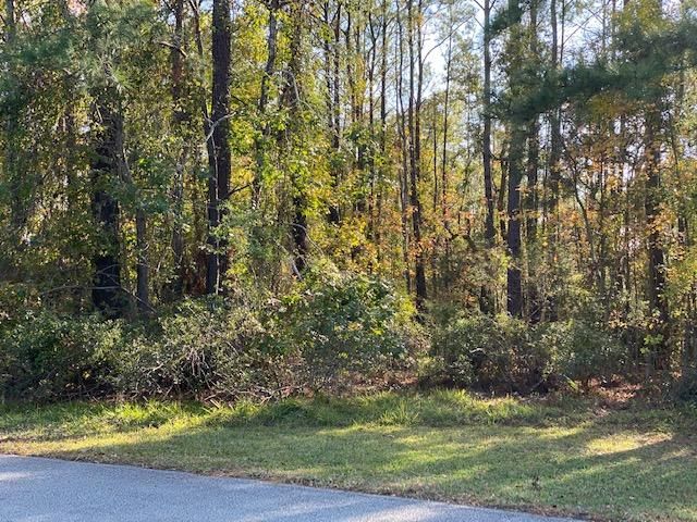 0 Regimental Ln, Johns Island, SC 29455
