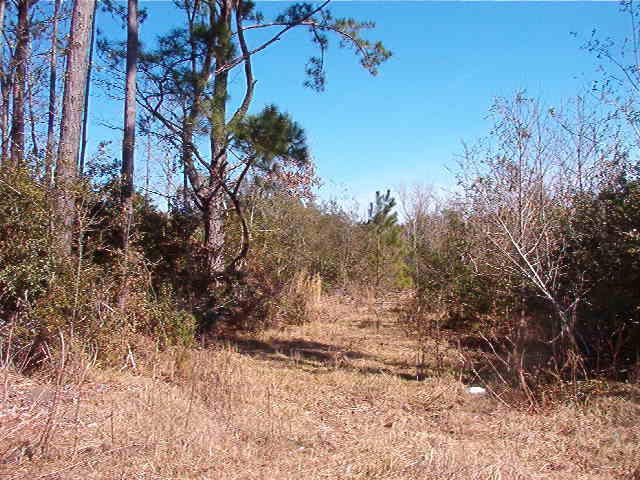 1770 Gilgrim Rd, Wadmalaw Island, SC 29487