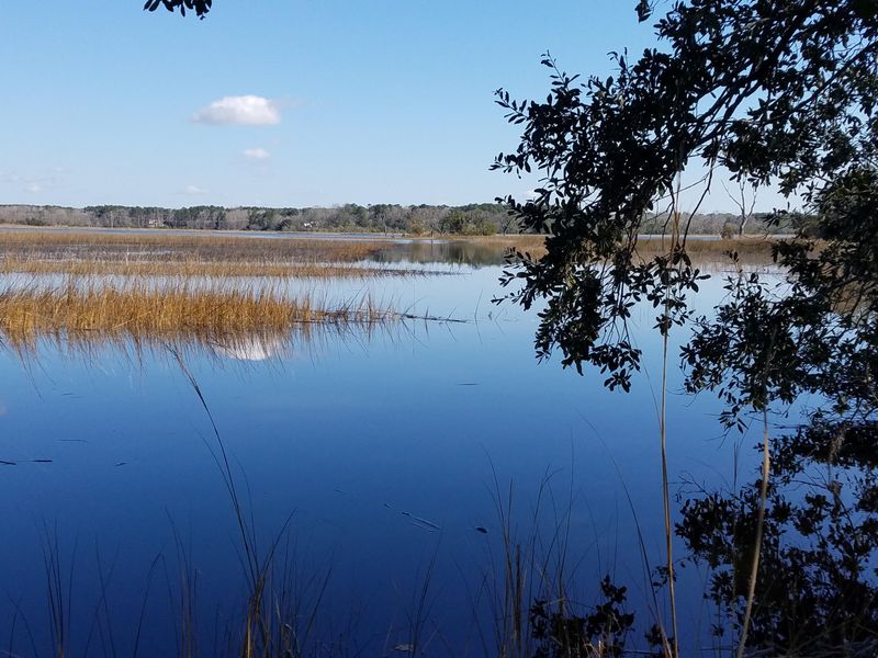 Lot 84 Lady Banks Ln, Hollywood, SC 29470