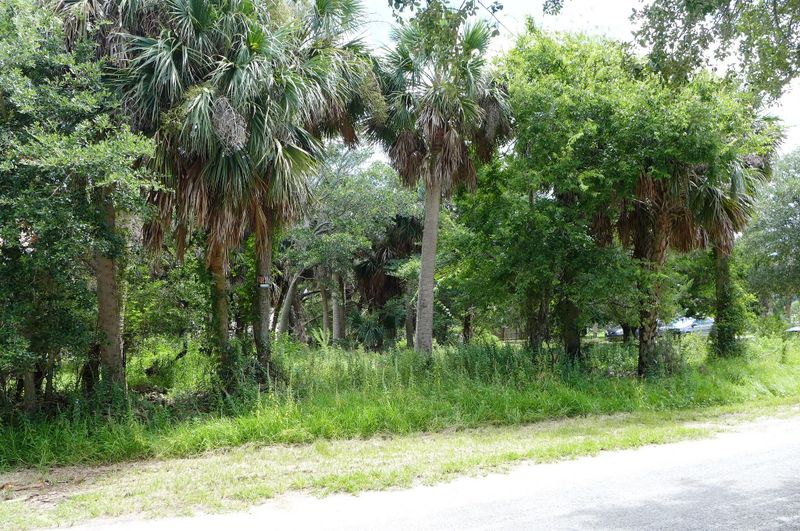 1407 Dorothy St, Edisto Beach, SC 29438