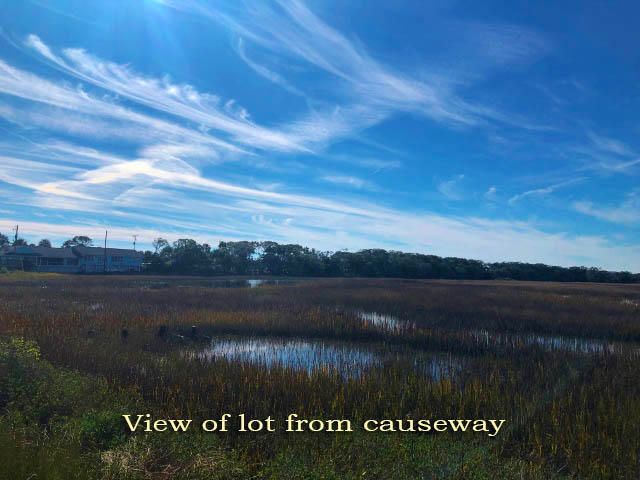 113 Jungle Rd, Edisto Island, SC 29438