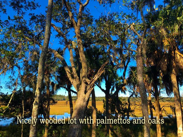 113 Jungle Rd, Edisto Island, SC 29438