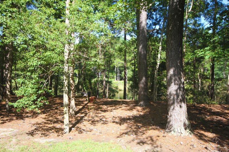 4413 Downing Place Way, Mount Pleasant, SC 29466