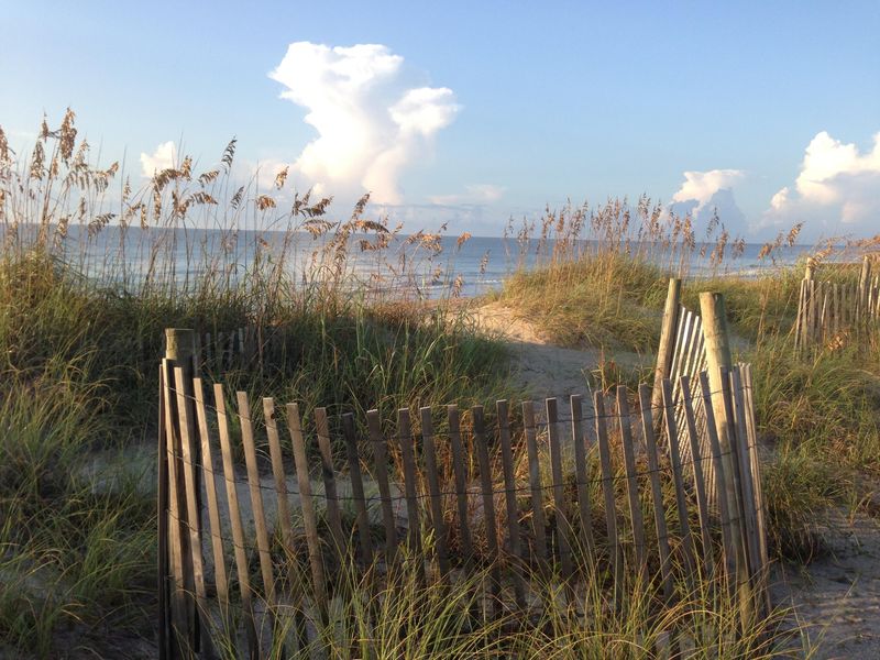 781 Summerwind Cir, Edisto Island, SC 29438