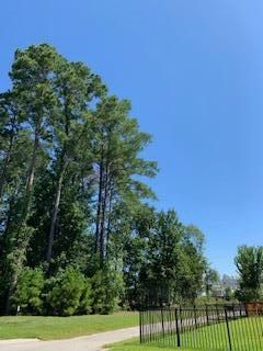 2875 River Vista Way, Mount Pleasant, SC 29466