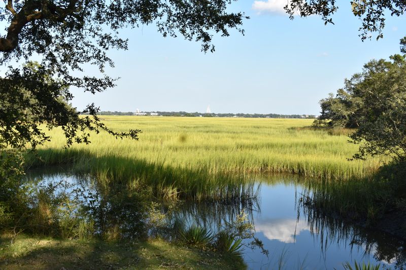 1724 Vassar Dr, Charleston, SC 29407