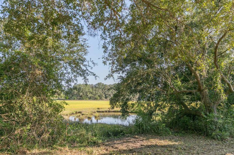 2019 Needlegrass Ln, Charleston, SC 29412
