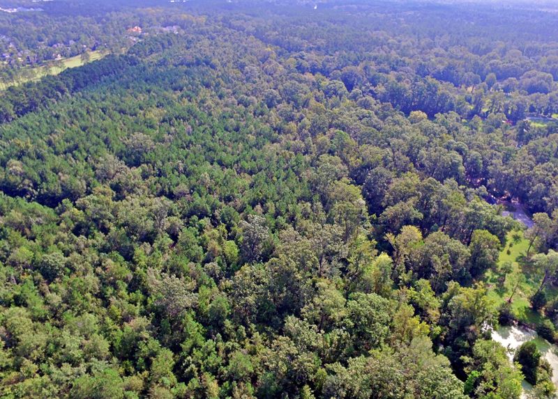 0 Hitching Post Ln, Summerville, SC 29483
