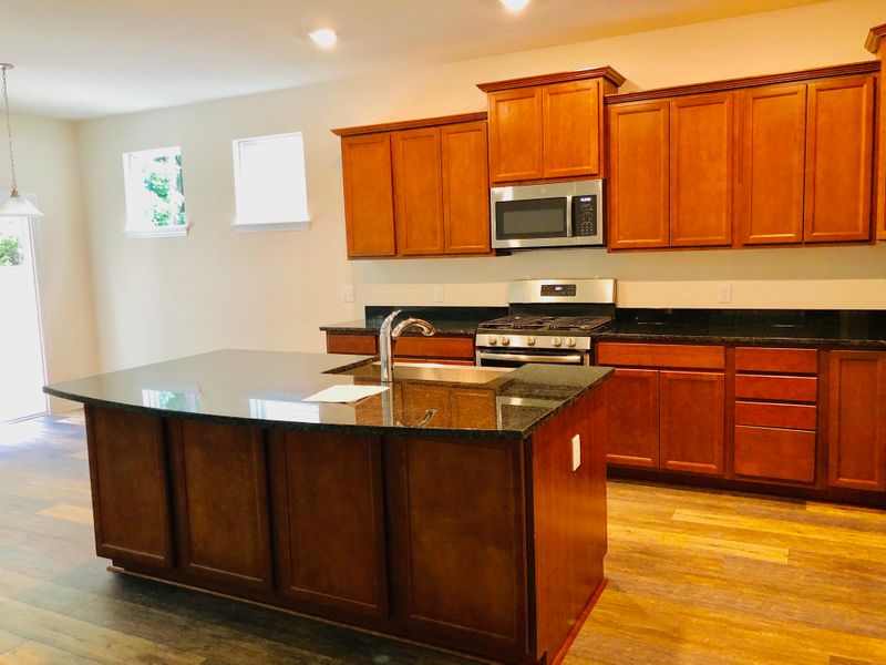 253 Weeping Cypress Dr, Moncks Corner, SC 29461