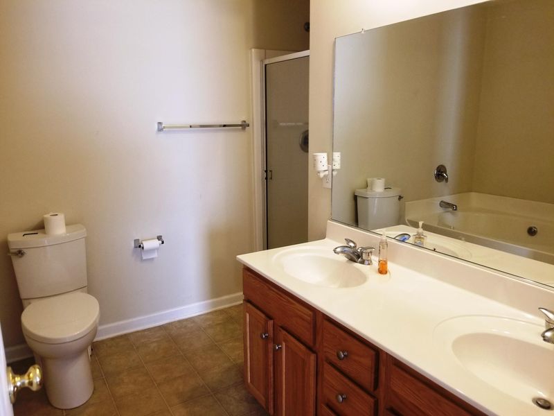 163 Wildberry Ln, Goose Creek, SC 29445
