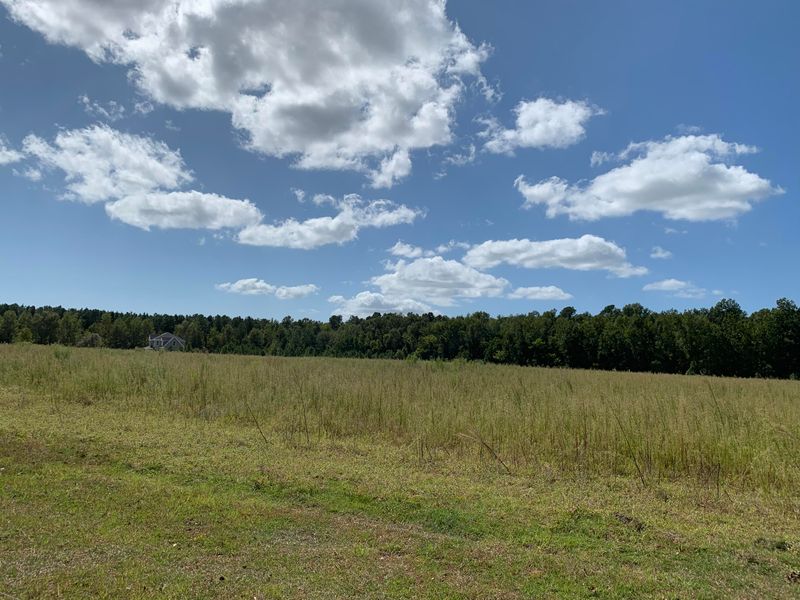 1019 Murrell Block Dr, Pineville, SC 29468