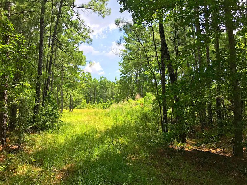 7530 Seattle Slew Ct, Awendaw, SC 29429