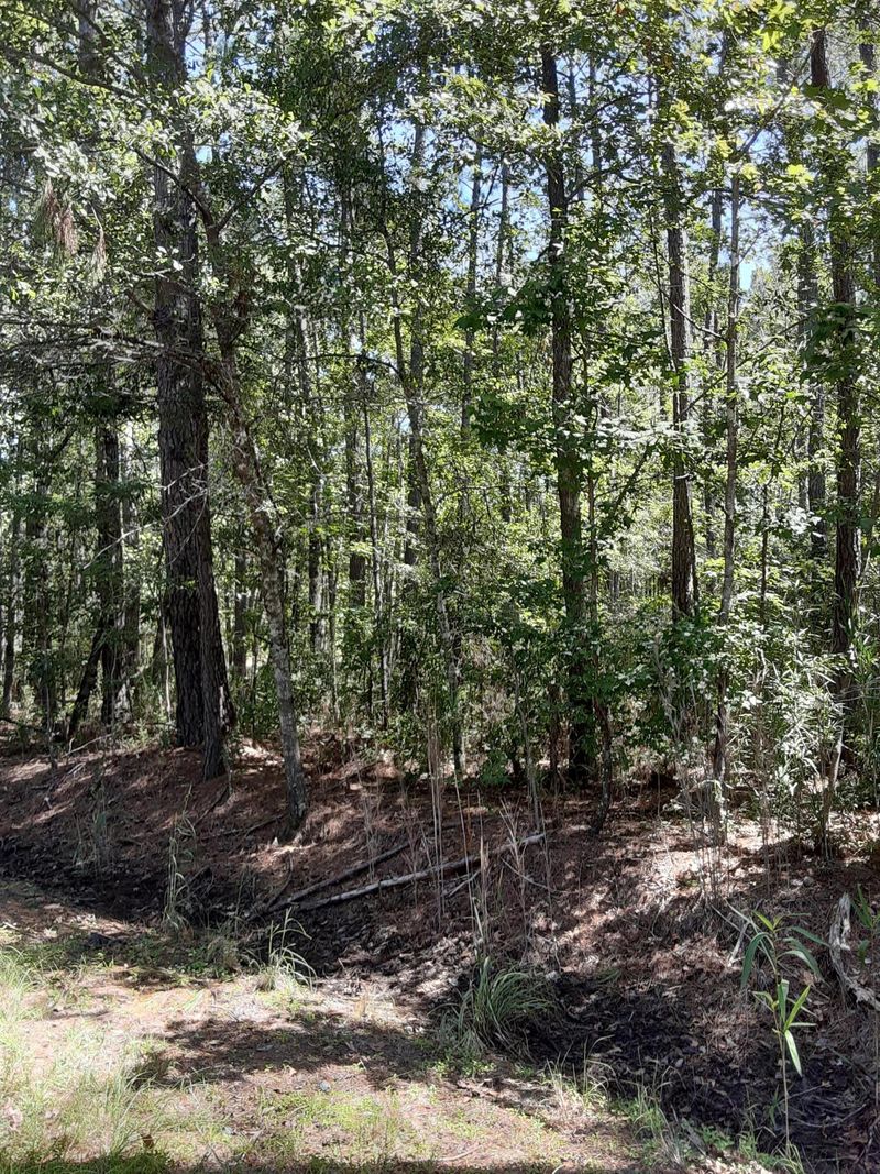 0 Spring Grove Rd, Adams Run, SC 29426