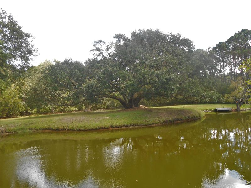 8729 Marsh Aire Ln, Edisto Island, SC 29438