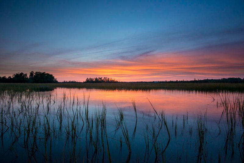 434 Fish Tale Rd, Charleston, SC 29492