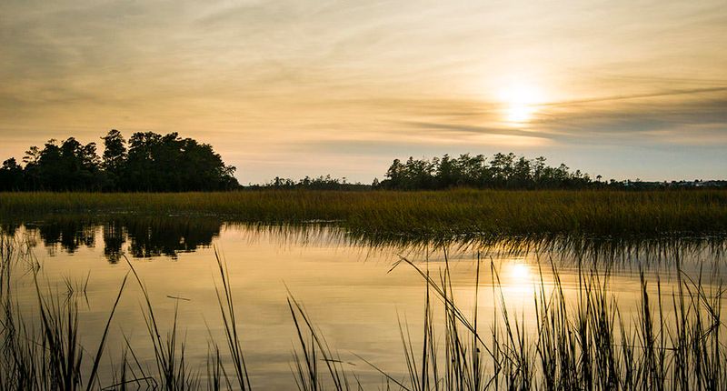 434 Fish Tale Rd, Charleston, SC 29492
