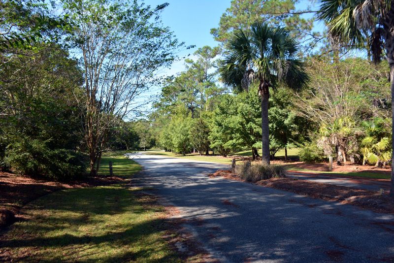 1 Blackbear Dr Lot 1, Edisto Island, SC 29438