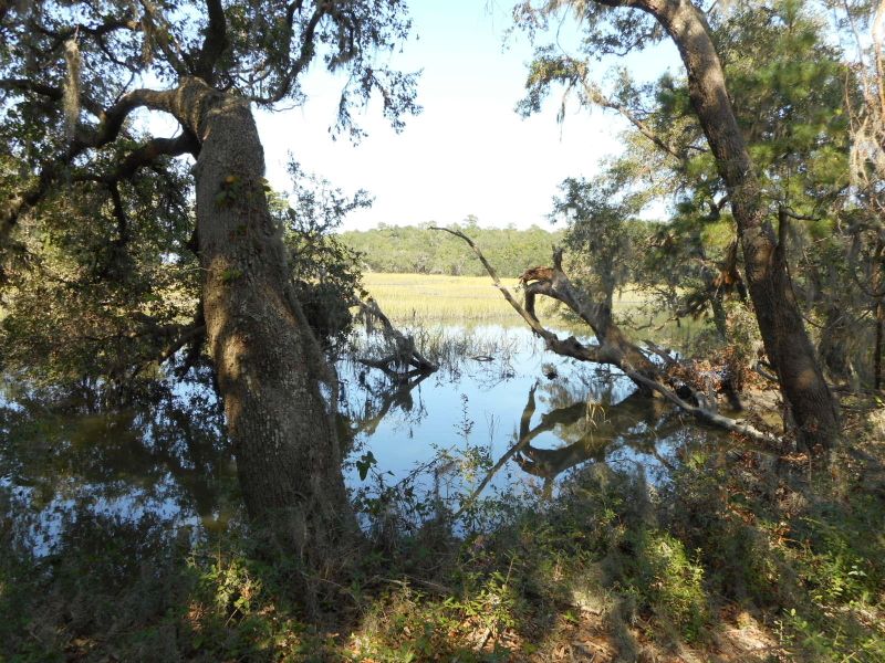 25 Jenkins Hill Rd, Edisto Island, SC 29438