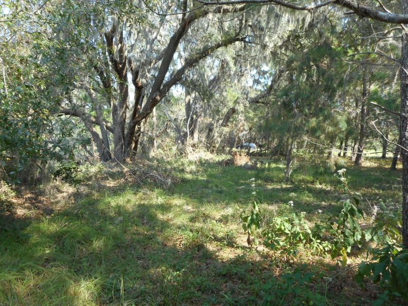 25 Jenkins Hill Rd, Edisto Island, SC 29438
