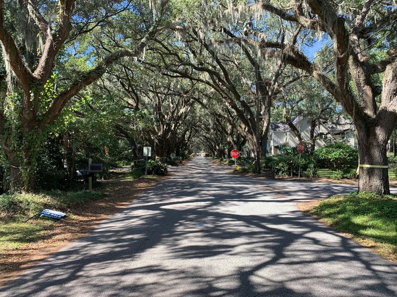 2187 Wappoo Dr, Charleston, SC 29412