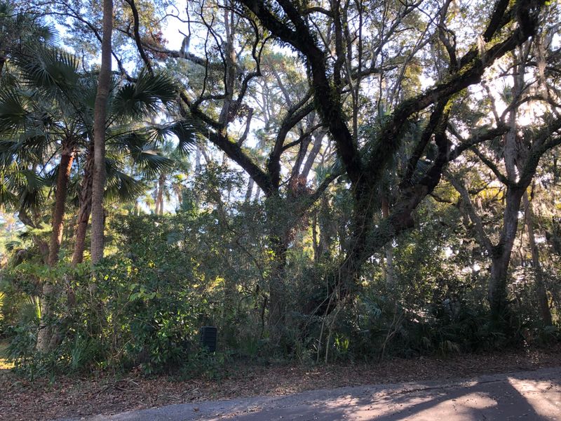 2668 Fox Lair, Seabrook Island, SC 29455
