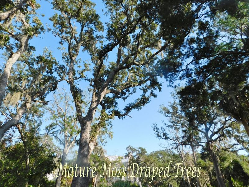 10 Heron Cove Ct, Edisto Beach, SC 29438