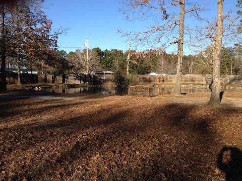977 Adrian Ln, Moncks Corner, SC 29461
