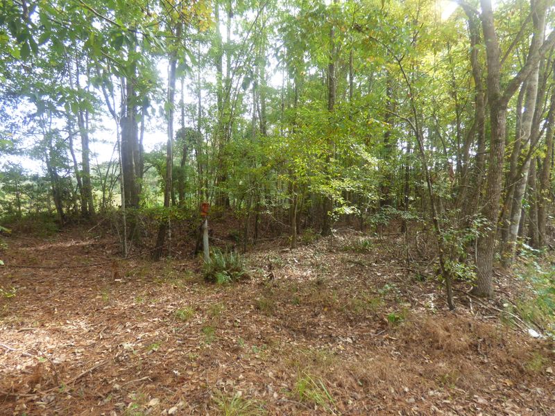 00 Dr Evans Rd, Moncks Corner, SC 29461