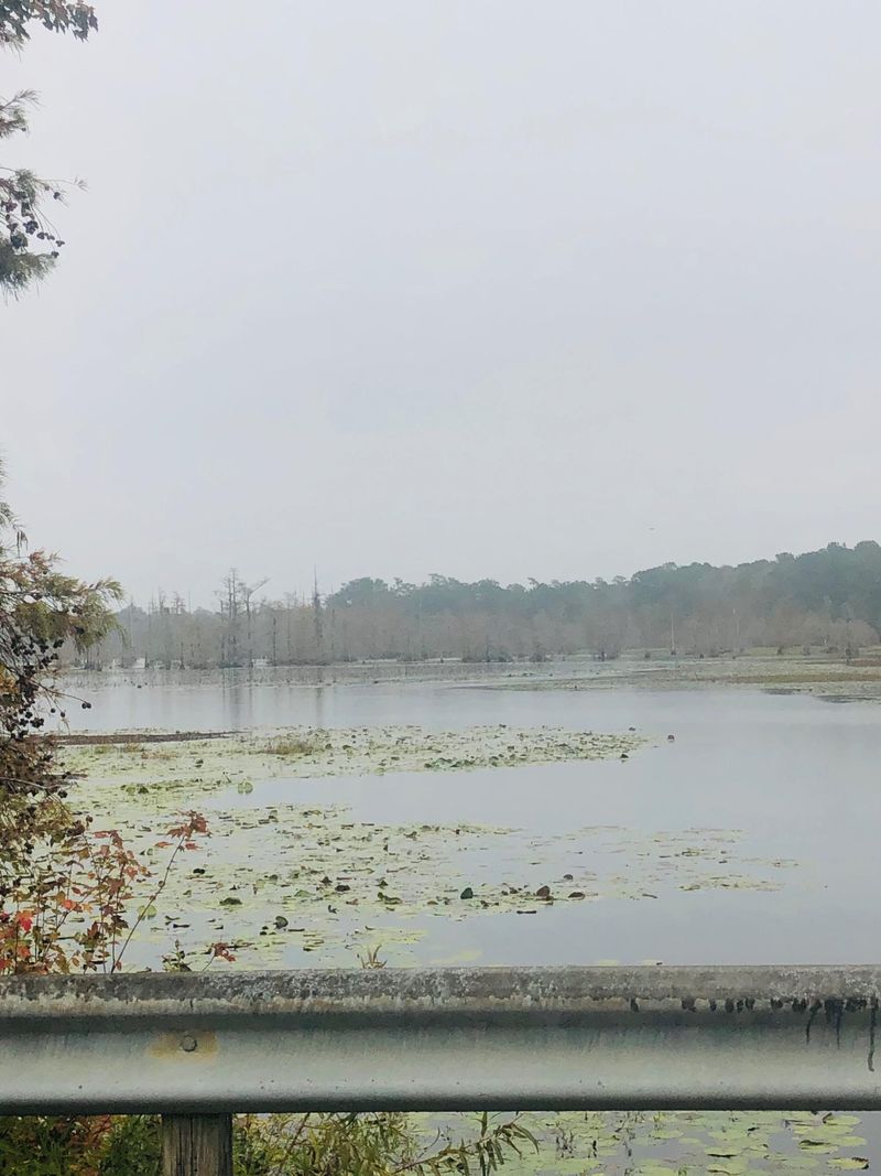 918 Waterfowl Ln, Huger, SC 29450